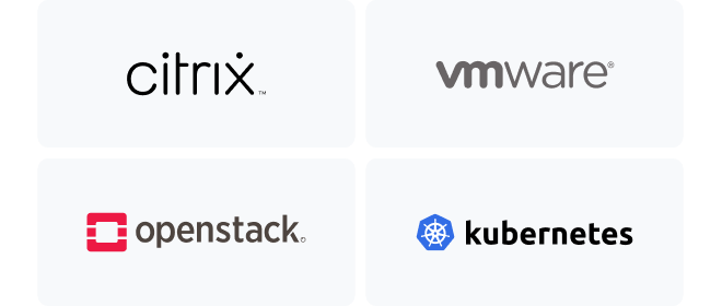Supports industry-leading virtualization platforms