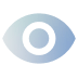 Main surveillance storage